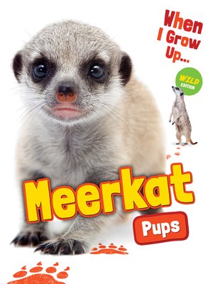 cover image of Meerkat Pups